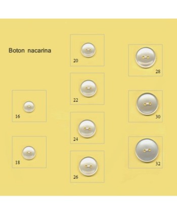 CAJA 144 BOTONES NACARINA Ref3669