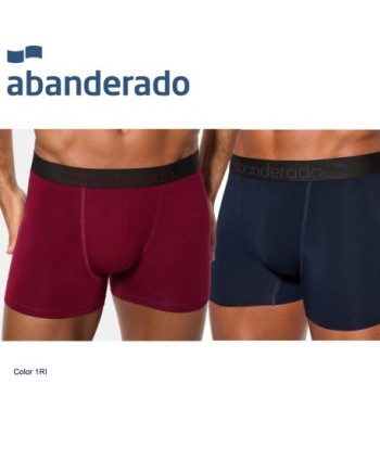 PACK 2 BOXER CERRADO PUNTO 96 BAMBU