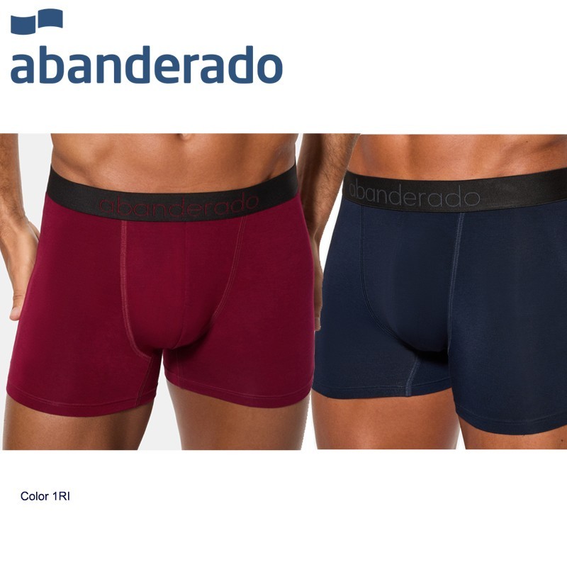 PACK 2 BOXER CERRADO PUNTO 96 BAMBU