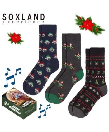CAJA REGALO MET MUSICA 3 CALCETINES CRO FANT