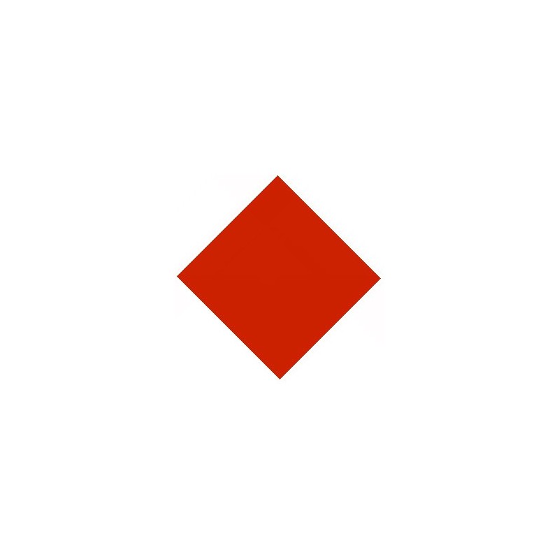 PAUELO NIO ROJO